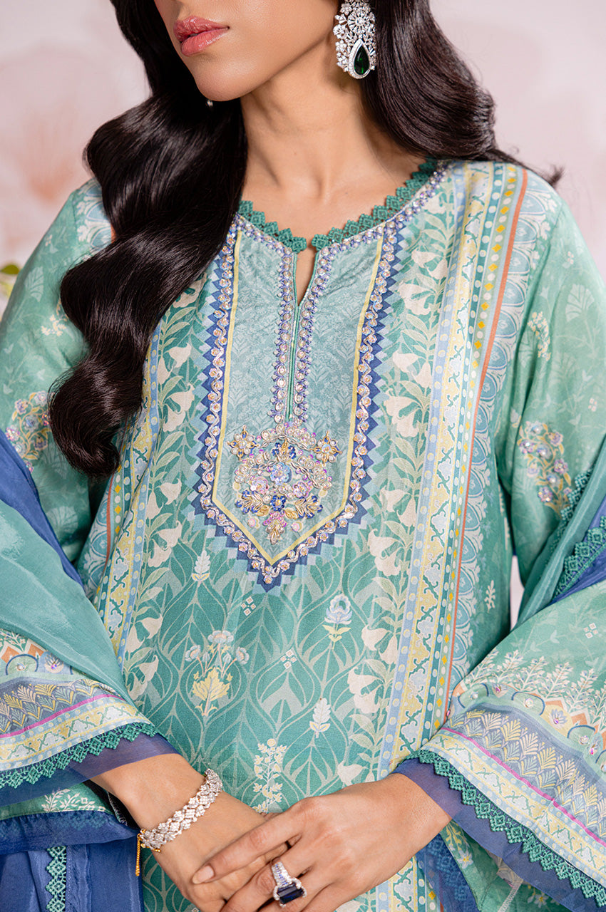 Sareen Shirt and silk dupatta