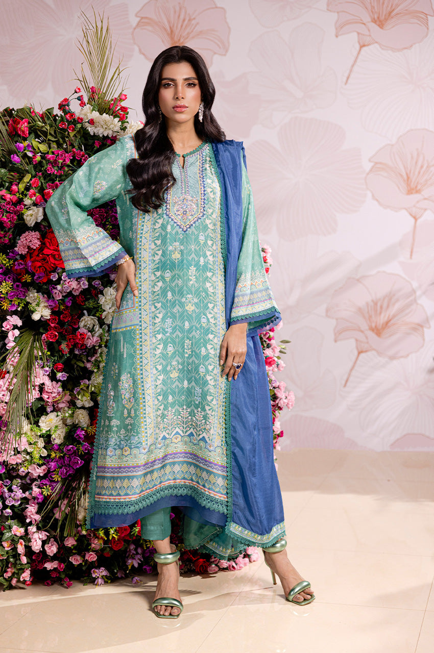 Sareen Shirt and silk dupatta