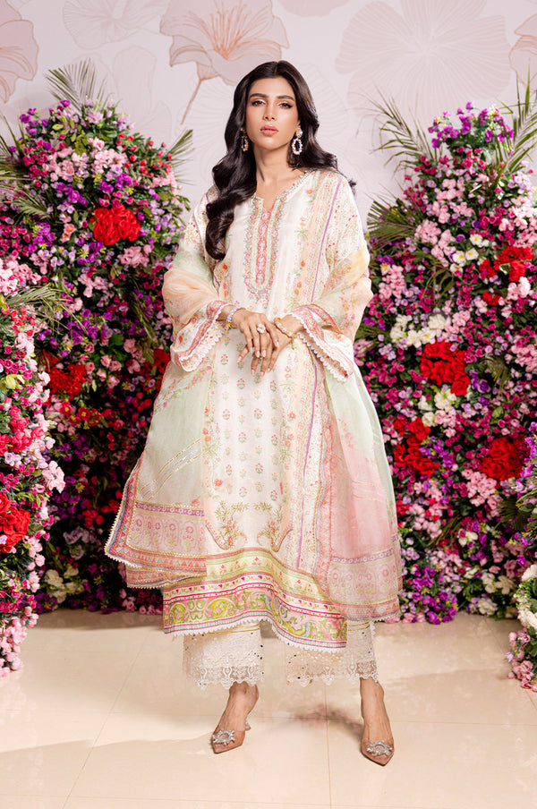 Reena - RTD